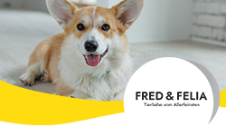 fred&felia_teaser_cs_overview_w250h140
