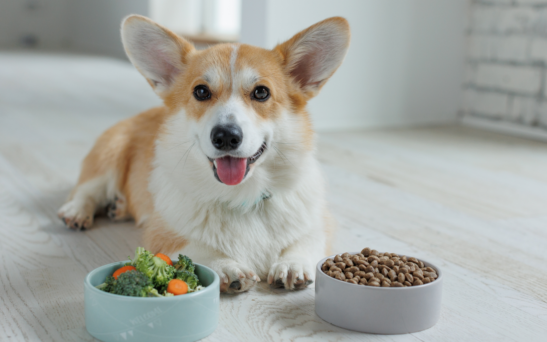 hero-fred_felia-w1920h1200