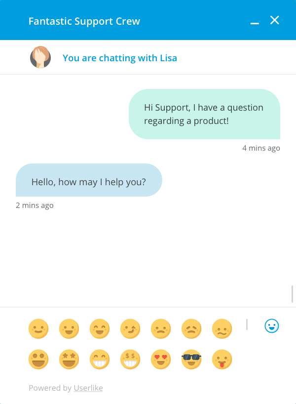 Chat-Verlauf von einem Support-Mitglied und einem Besucher.