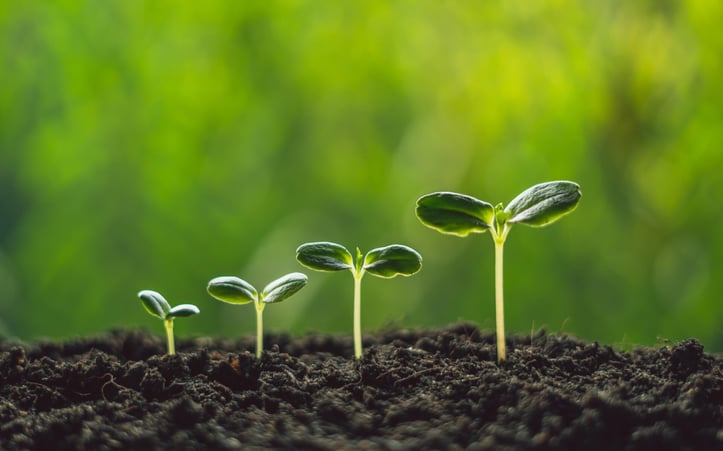 bg-google_grow_my_store_plants_growing_seedlings-w1920h1200
