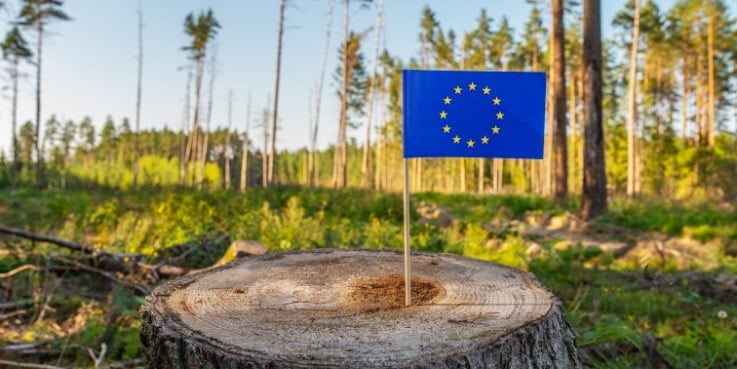 EU-Flagge auf einem Baumstumpf