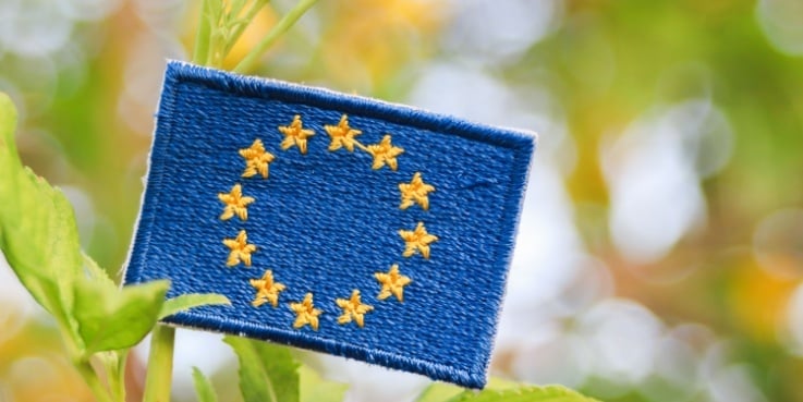 Eine EU-Flagge vor grünem Hintergrund.